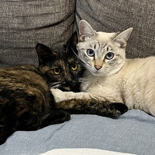 【2/18月島】初心者歓迎✴︎元気仲良しペア