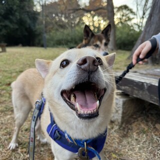 「たつた」男の子