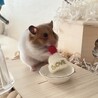 ２回目のメリークリスマス
