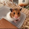 くるみのお風呂