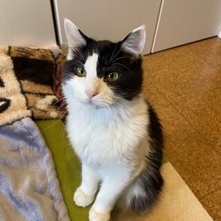 4/28津田沼ෆ⃛ちょっとビビリෆ⃛ウニくん