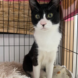 ෆ⃛超絶甘えん坊ෆ⃛ボーロくん