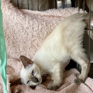 元気いっぱいで少しシャイな男の子♪