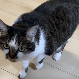 おっとりした女の子です՞･֊･՞