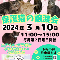 保護猫の譲渡会