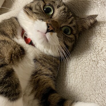 ゴロゴロ寝るのも大好きです