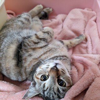 急募！18日リリースする甘えん坊兄弟です