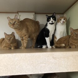 仲良くみんにゃ一緒に記念撮影