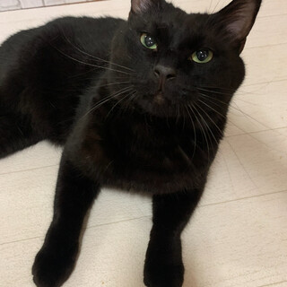人が大好きなししまる☺︎
