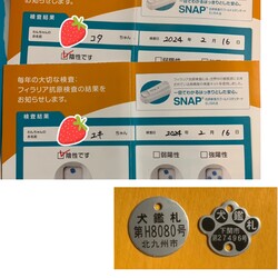 「その曇り無き眼で〜(,,>᎑<,,)」サムネイル3