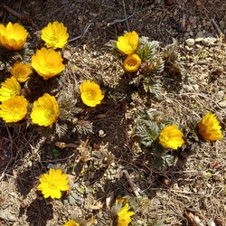 「今年も( ´ー`)銀太の誕生日♥️」サムネイル2