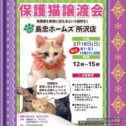 2月18日（日）島忠ホームズ所沢店譲渡会！