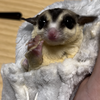 決まりそうです