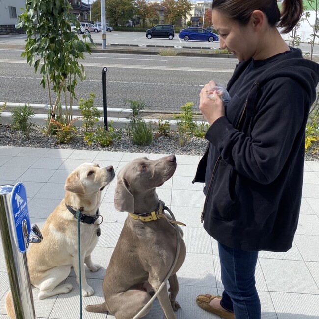 ラスちゃんのカバー写真