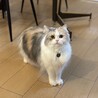 長足さんでスタイルよい