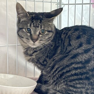 可愛いネムちゃん、生後7ヶ月