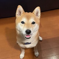 じゅん