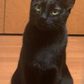 のんびり屋さんのノンちゃんです。????