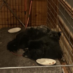 報告 2024/02/19 2:13