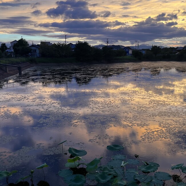 ununancoのカバー写真