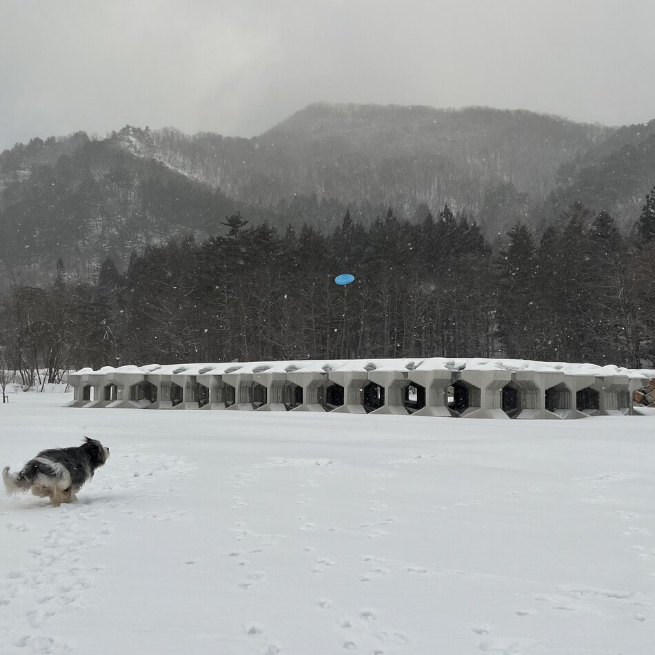 アラキのカバー写真