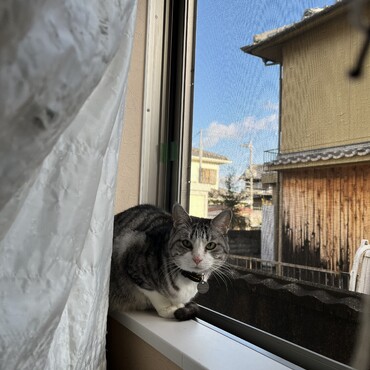 ピンキーの写真