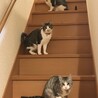 ピンキー