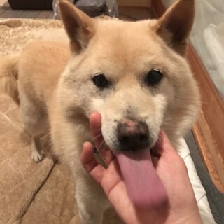 いつも元気ないっちいくん