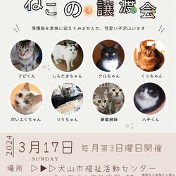 猫の譲渡会 @犬山市福祉活動センター