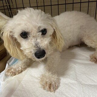 トライアル中募集停止