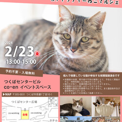 つくばまちなか譲渡会 サムネイル1