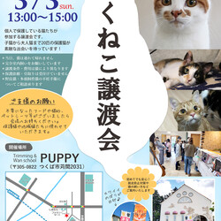 つくねこ譲渡会