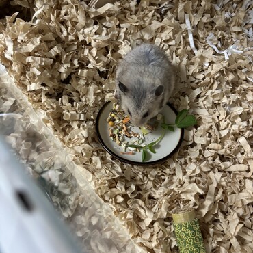 そらの食事