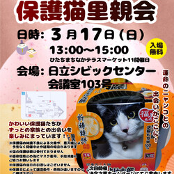 ひたちまちにゃか保護猫里親会