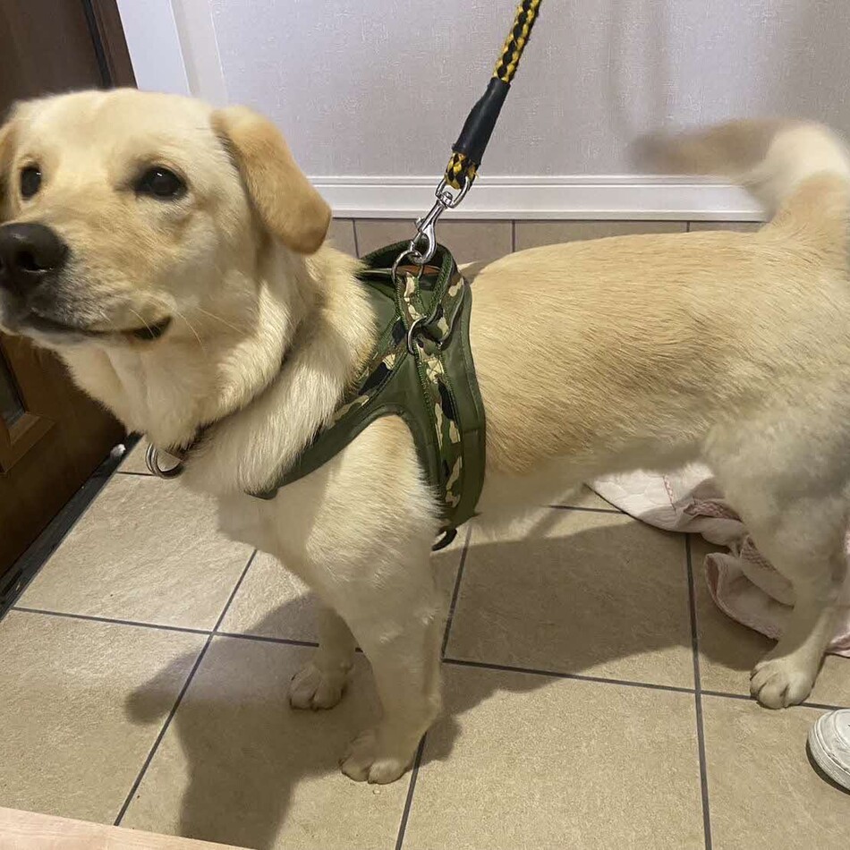 ジョンのカバー写真