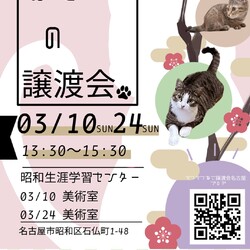 猫の譲渡会　in　名古屋市昭和生涯学習センター
