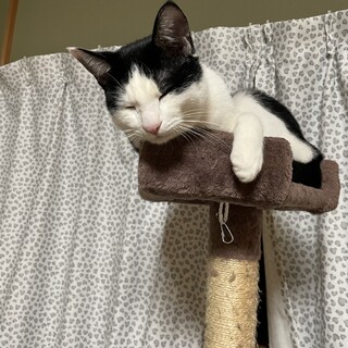 とても可愛い性格の男の子