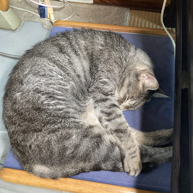 湘南男子のカバー写真