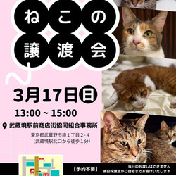 むさしの地域猫の会　譲渡会