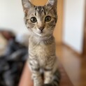 おめかし大好き♡夢ちゃん