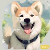 ミニぴっぴ さん