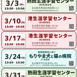 ▼猫の譲渡会▼名古屋市熱田区