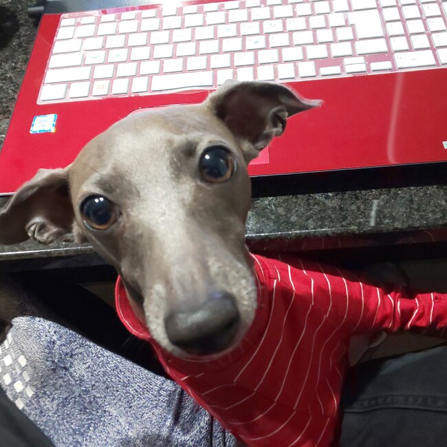 miyabiyaka_p119のカバー写真