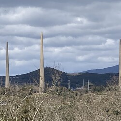 「本日は誕生日でした」サムネイル3