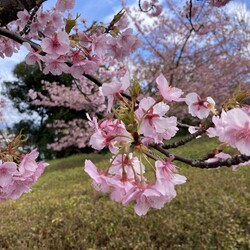 「本日は誕生日でした」サムネイル2