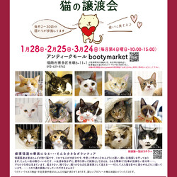 Bootymarket × [sakuraneko] 猫の譲渡会