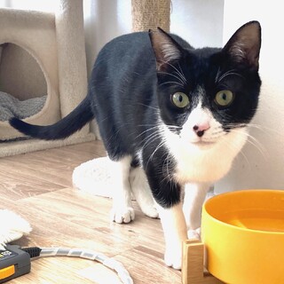 小柄で可愛い甘えたボーイ