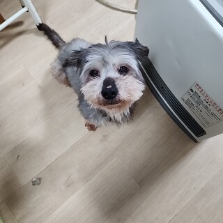 センター引き出しワンチャンです。