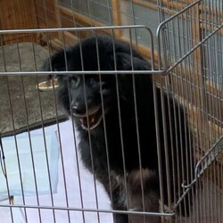 報告書 2024/02/24