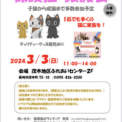 個人ボランティア＆長崎ねこの会　保護猫譲渡会
